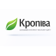 Кейс SEO-продвижения интернет-магазина одежды «Кропива»